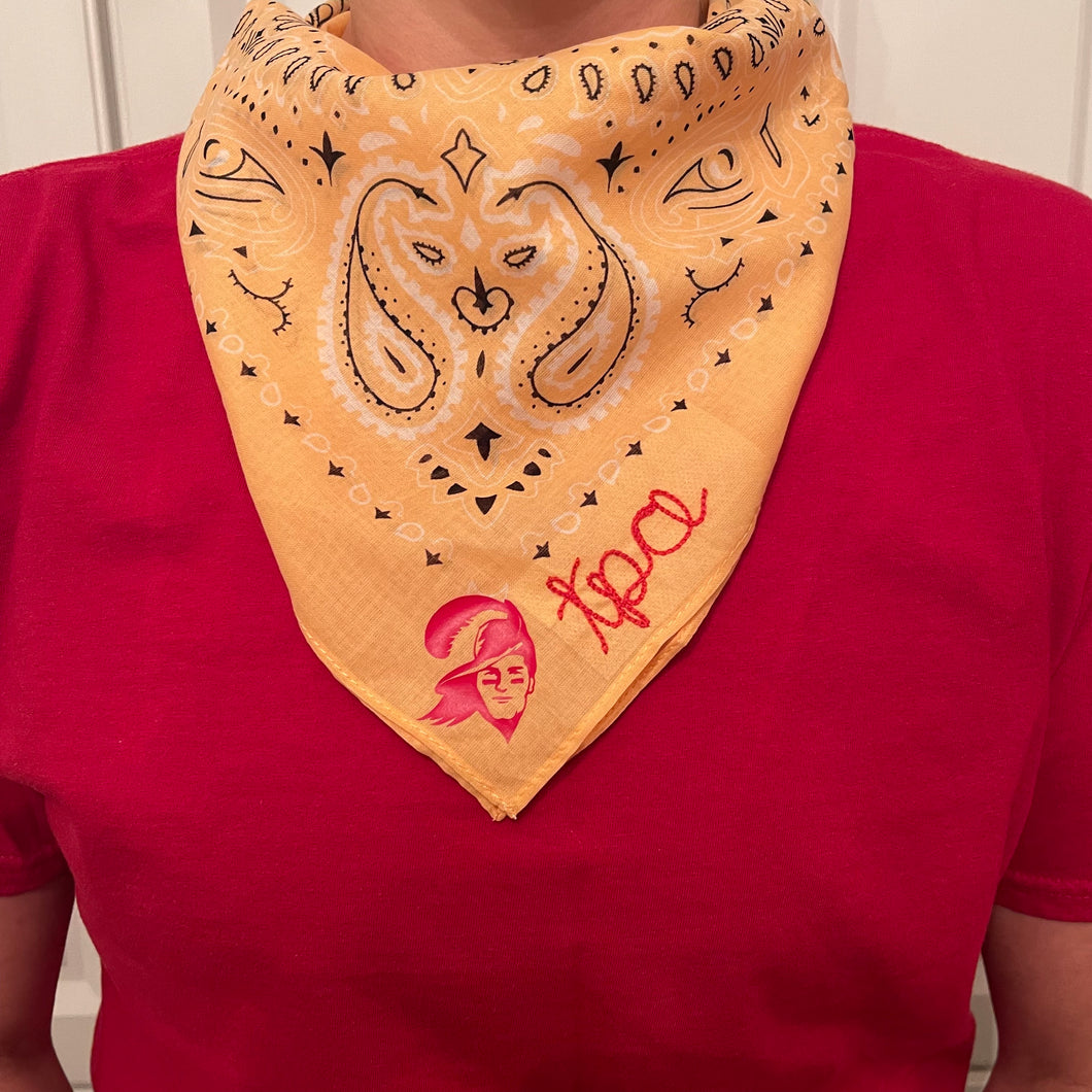 Tompa Bay Bandana
